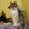 Отзыв от Валентина Самойлова